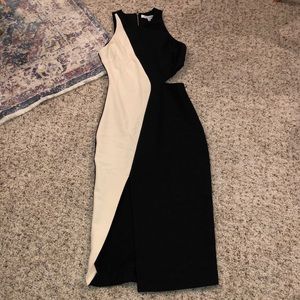 Elizabeth & James fitted dress